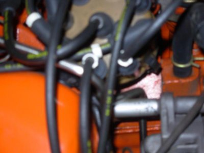 DSCN4180.jpg DSCN4180.jpg