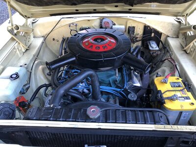 Coronet 14.jpg Coronet 14.jpg