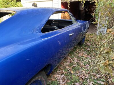 IMG_3027.JPEG IMG_3027.JPEG