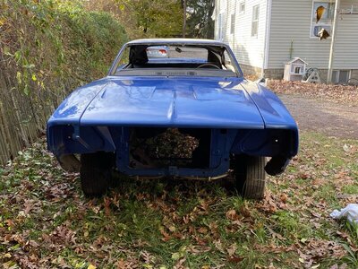 IMG_3031.JPEG IMG_3031.JPEG