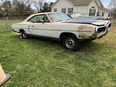 34F6178A-36DD-474E-BAA8-88BC8BED1921.jpeg 34F6178A-36DD-474E-BAA8-88BC8BED1921.jpeg