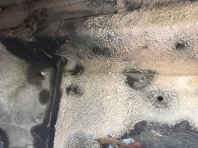 E249C7AC-9215-468C-99C8-15A60997D312.jpeg E249C7AC-9215-468C-99C8-15A60997D312.jpeg