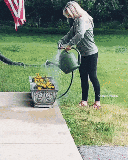 42dd03a4524732f0f6babdc8000c64531e1a8295.gif 42dd03a4524732f0f6babdc8000c64531e1a8295.gif