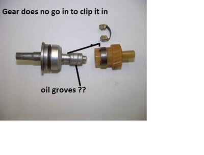 spedo 5.jpg spedo 5.jpg