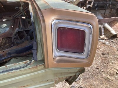 IMG_6493.JPG IMG_6493.JPG