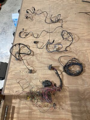 IMG_6653.jpg IMG_6653.jpg