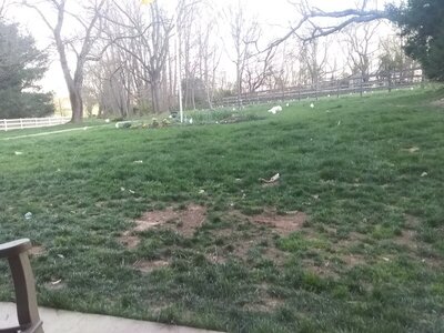 20220415_191239.jpg 20220415_191239.jpg