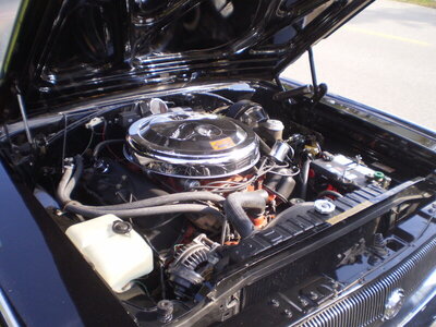 PA130094.JPG PA130094.JPG