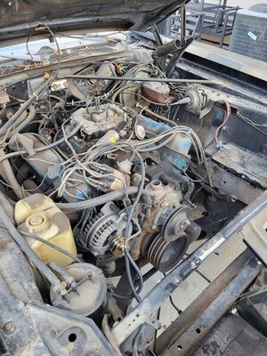 20220328_171800.jpg 20220328_171800.jpg