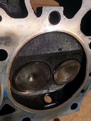 IMG_0372.jpg IMG_0372.jpg