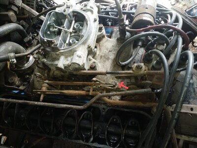 IMG_20220429_114919~2.jpg IMG_20220429_114919~2.jpg