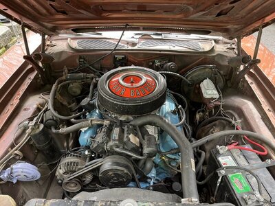 DAF8BC05-9F93-455F-8CA7-C143B00617F7.jpeg DAF8BC05-9F93-455F-8CA7-C143B00617F7.jpeg