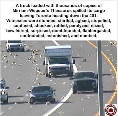 Screenshot 2022-05-03 055322.jpg