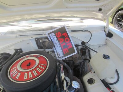 Copy of IMG_6587.JPG