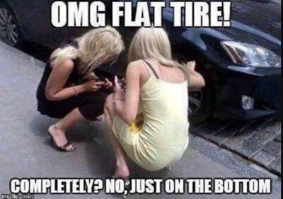 upload_2022-5-6_8-18-7.jpeg upload_2022-5-6_8-18-7.jpeg