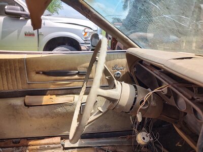 IMG_20220506_143602353_HDR.jpg IMG_20220506_143602353_HDR.jpg