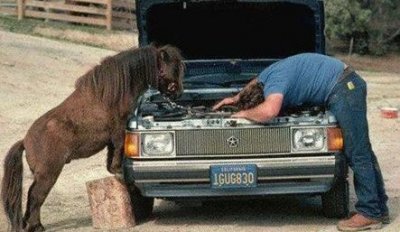 breakdown.jpg