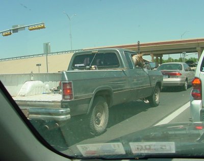 truck.jpg