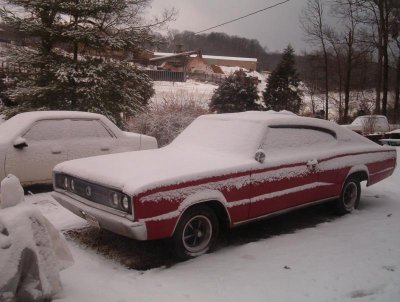 snowred.jpg snowred.jpg