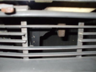 my pictures fine pix 467.jpg my pictures fine pix 467.jpg