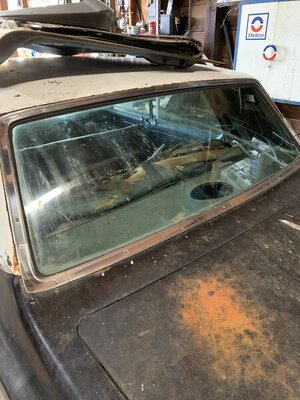 3263294D-18E1-42BF-92B4-0A48BD867D3D.jpeg 3263294D-18E1-42BF-92B4-0A48BD867D3D.jpeg