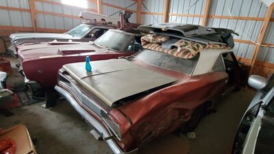 20210810_114023.jpg 20210810_114023.jpg