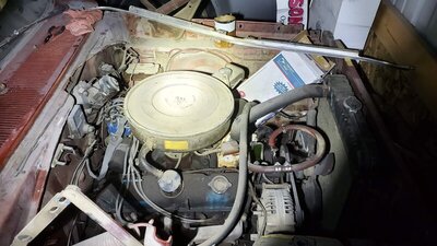 20220513_201631.jpg 20220513_201631.jpg