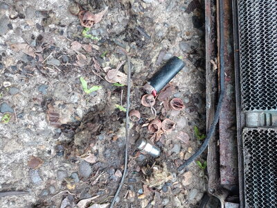 20220515_090413.jpg 20220515_090413.jpg