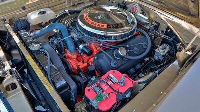 280071263 '68 Hemi 'runner (3).jpg