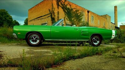 misc (8).jpg