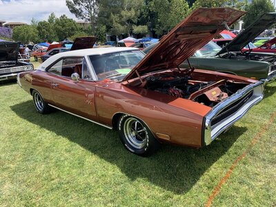 8662AB07-A182-46D2-8F2D-90D6B4154C68.jpeg 8662AB07-A182-46D2-8F2D-90D6B4154C68.jpeg