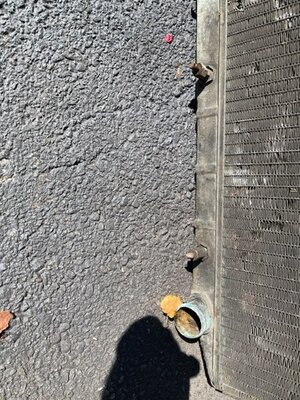 IMG_6344.jpg IMG_6344.jpg