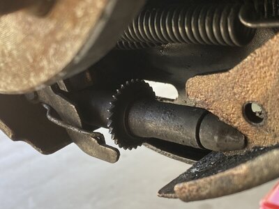 3E0BA437-A969-4134-97F4-DF1892681CDC.jpeg 3E0BA437-A969-4134-97F4-DF1892681CDC.jpeg