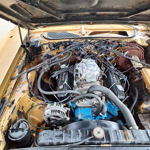 IMG_20220524_103504152_HDR.jpg IMG_20220524_103504152_HDR.jpg