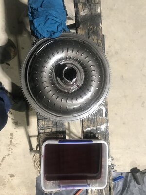 56ED9561-863E-43BB-881A-70ABB3E26787.jpeg 56ED9561-863E-43BB-881A-70ABB3E26787.jpeg