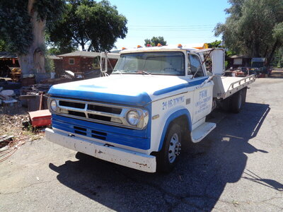 DSC01113.JPG DSC01113.JPG