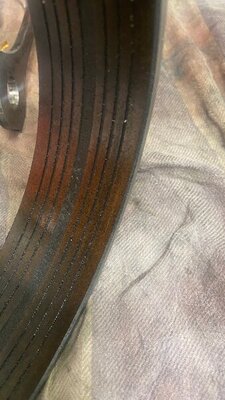 IMG_1404.jpg IMG_1404.jpg