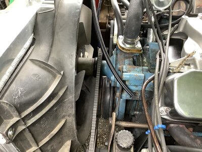 6713BFBA-FEE0-4CB0-B2B1-70F3F7C59C13.jpeg 6713BFBA-FEE0-4CB0-B2B1-70F3F7C59C13.jpeg