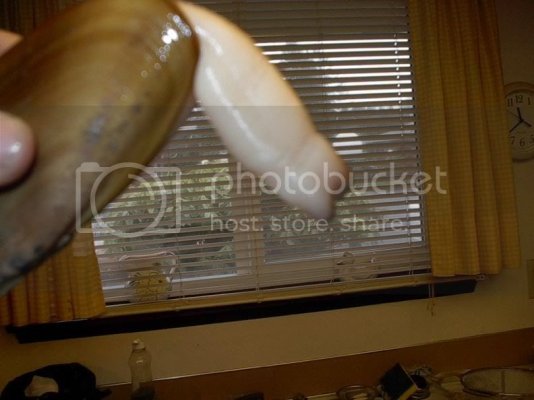 razors4.jpg