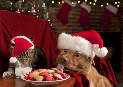 shutterstock_75208735_christmas.jpg shutterstock_75208735_christmas.jpg