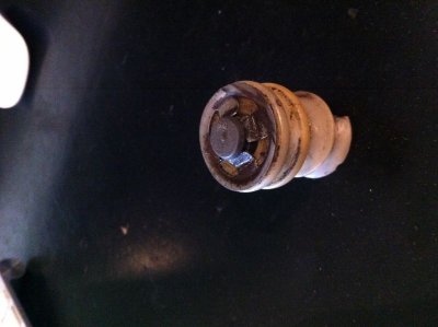 IMG_0181 (800x598).jpg