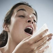 sneeze.jpeg