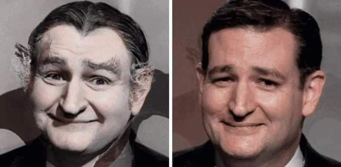 ted.jpg