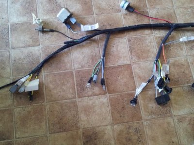 Harness 2.jpg