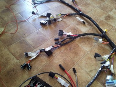 Harness 4.jpg