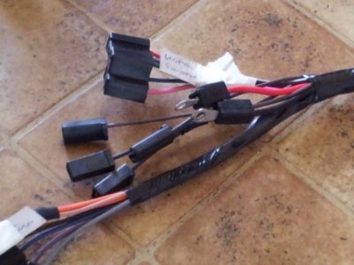 Harness 5.jpg
