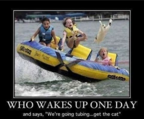 Screenshot 2022-06-18 200548.jpg