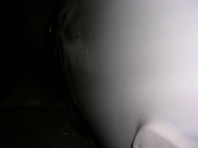 DSCN3613.jpg