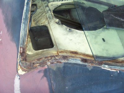 100_2365.jpg 100_2365.jpg