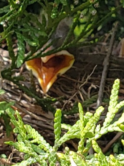 20220709_153854.jpg 20220709_153854.jpg